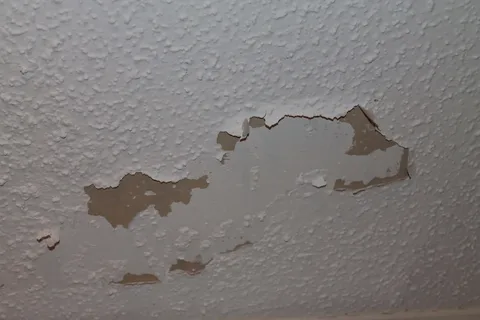 Artex Ceiling Covering